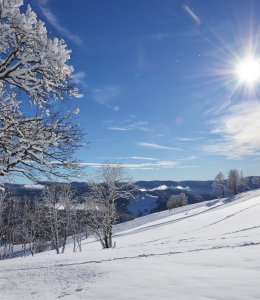 Todtnauberg © dd-stock.adobe.com