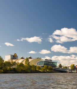 König der Löwen © Günni80 - stock.adobe.com