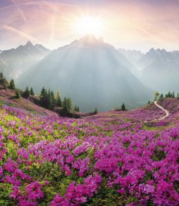 Mont Blanc Panorama © panaramka - stock.adobe.com