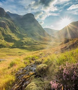 Landschaft in Glencoe © EyesTravelling - stock.adobe.com