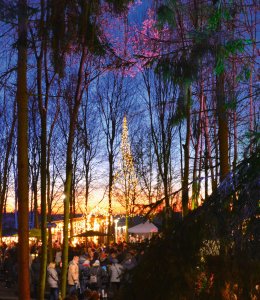 Velener-Waldweihnachtsmarkt © Landgut Krumme GmbH & Co. KG