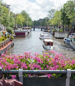 Prinsengracht in Amsterdam © Nataraj - stock.adobe.com