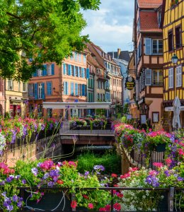Blühende Altstadt von Colmar © Overburn - stock.adobe.com
