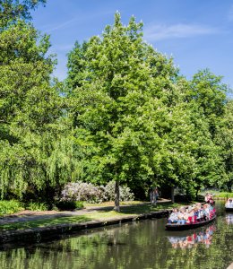 Kahnfahrt im Spreewald © ArTo - stock.adobe.com