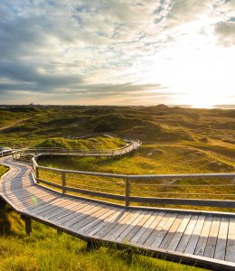 Bohlenweg Norderney © TMN/Janis Meyer