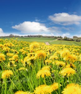 Fahrt ins Blaue © doris oberfrank-list - stock.adobe.com