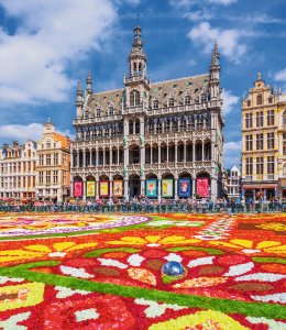 Blumenteppich auf dem Grand Place © SCStock - stock.adobe.com