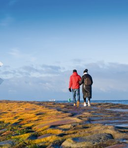 Leuchtturm Swinemünde  © Shutterstock/Petro Perutskyi
