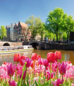 Amsterdam © neirfy - stock.adobe.com