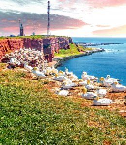 Helgoland © Sina Ettmer - stock.adobe.com