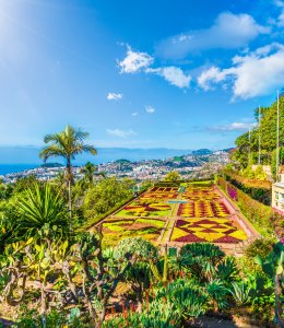 Funchal © Balate Dorin - stock.adobe.com