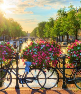 Amsterdam © dennisvdwater - stock.adobe.com