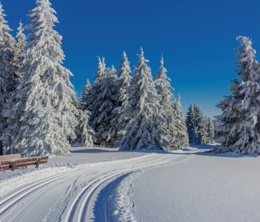 Winterzauber im Thüringer Wald © Oliver Hlavaty - stock.adobe.com