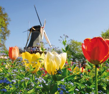 Windmühle im Keukenhof © dzain-stock.adobe.com